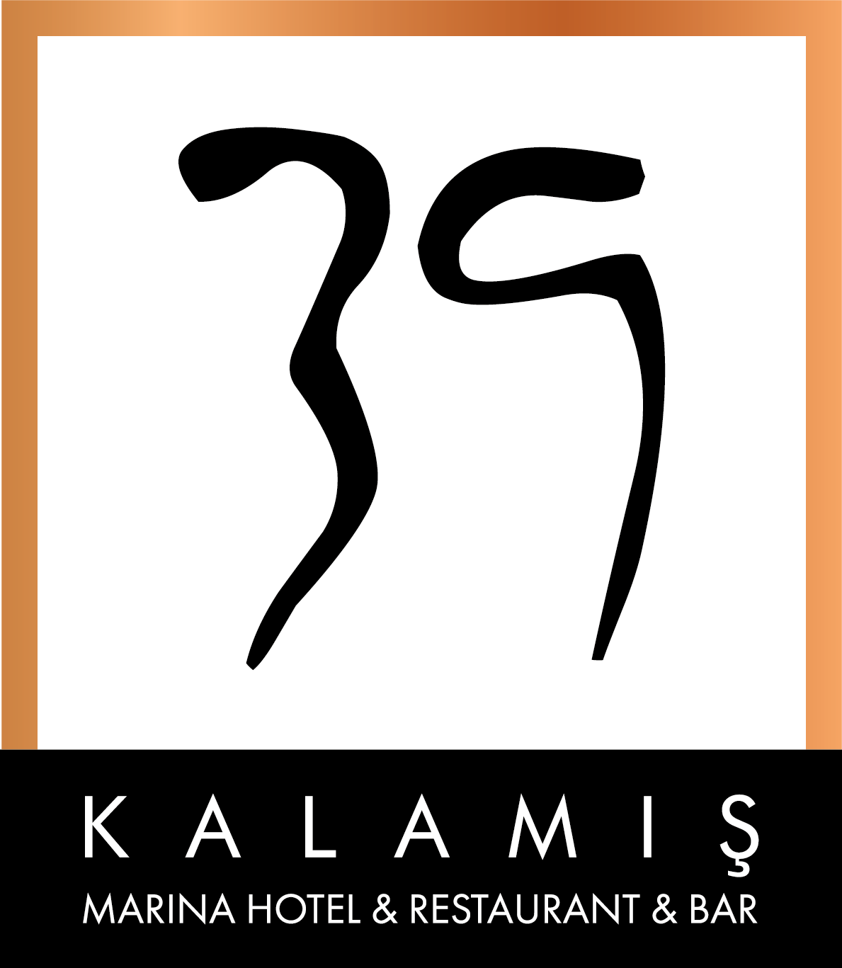 Misafir Memnuniyet Anketi